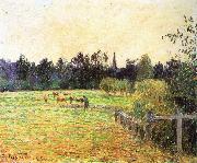 Camille Pissarro, Cattle